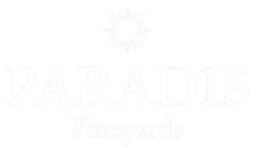 Paradis Vineyard